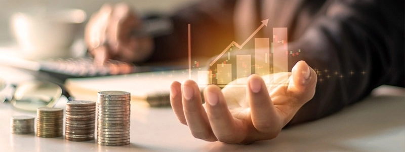 Kaizen Wagle Investment